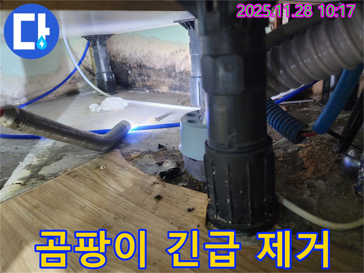 경기도 포천 - 욕조 하부 곰팡이가 심각하여 긴급하게 방문하여 완벽한 곰팡이 제거 및 재발 방지를 약속드립니다.