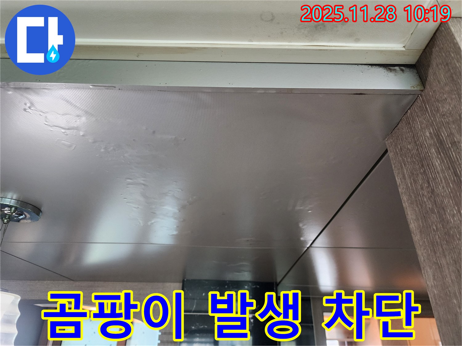 곰팡이 발생 차단 - 천장 누수, 곰팡이 발생 전에 - 완벽하게 차단하세요!