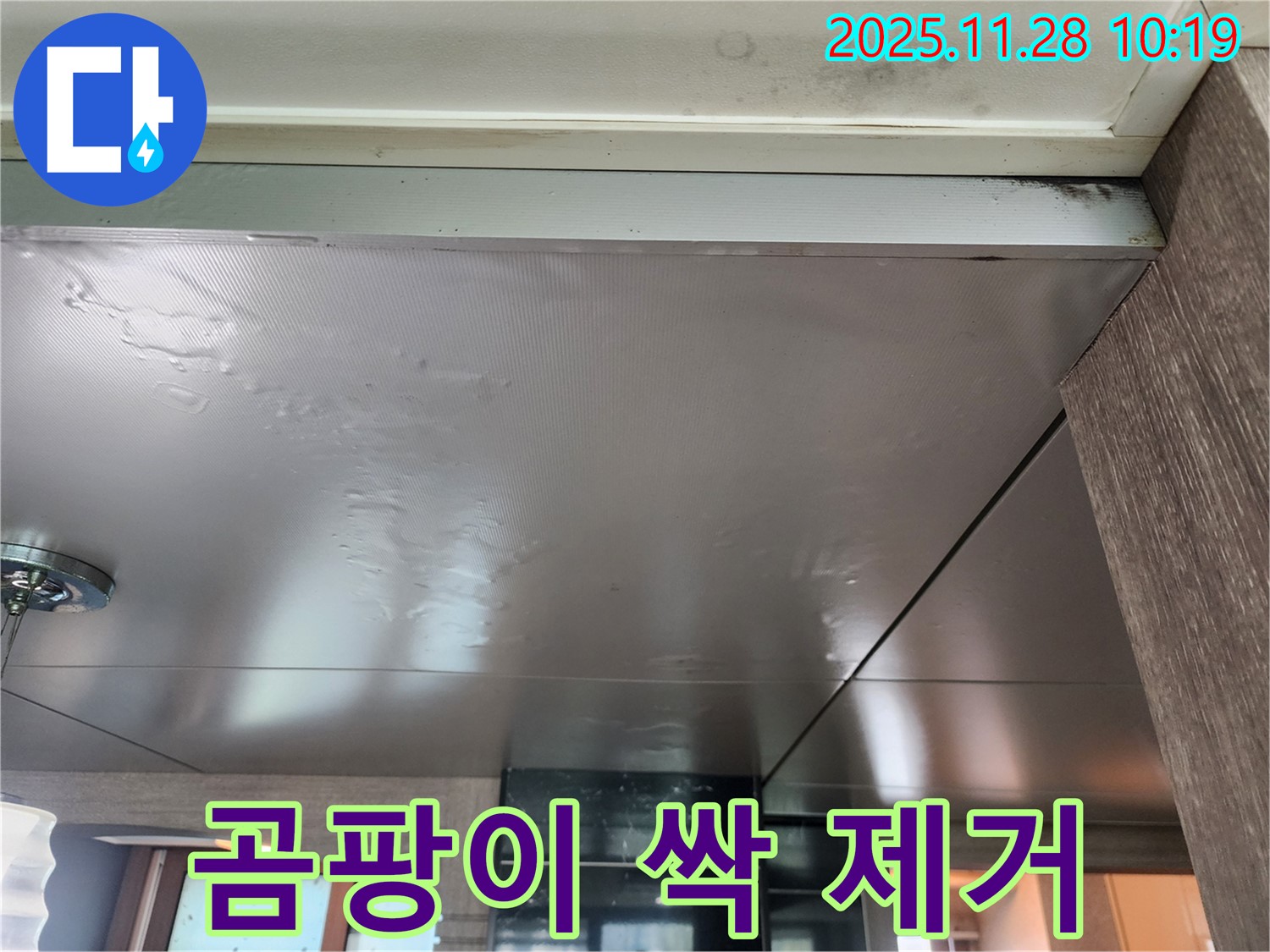 곰팡이 싹 제거 - 곰팡이 싹! 누수 완벽 차단 - 쾌적한 공간을 만들어 드립니다.