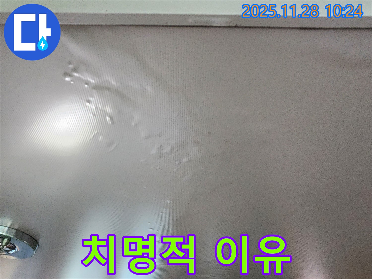 곰팡이 핀 벽 - 임산부와 아기에게 왜 치명적일까요?