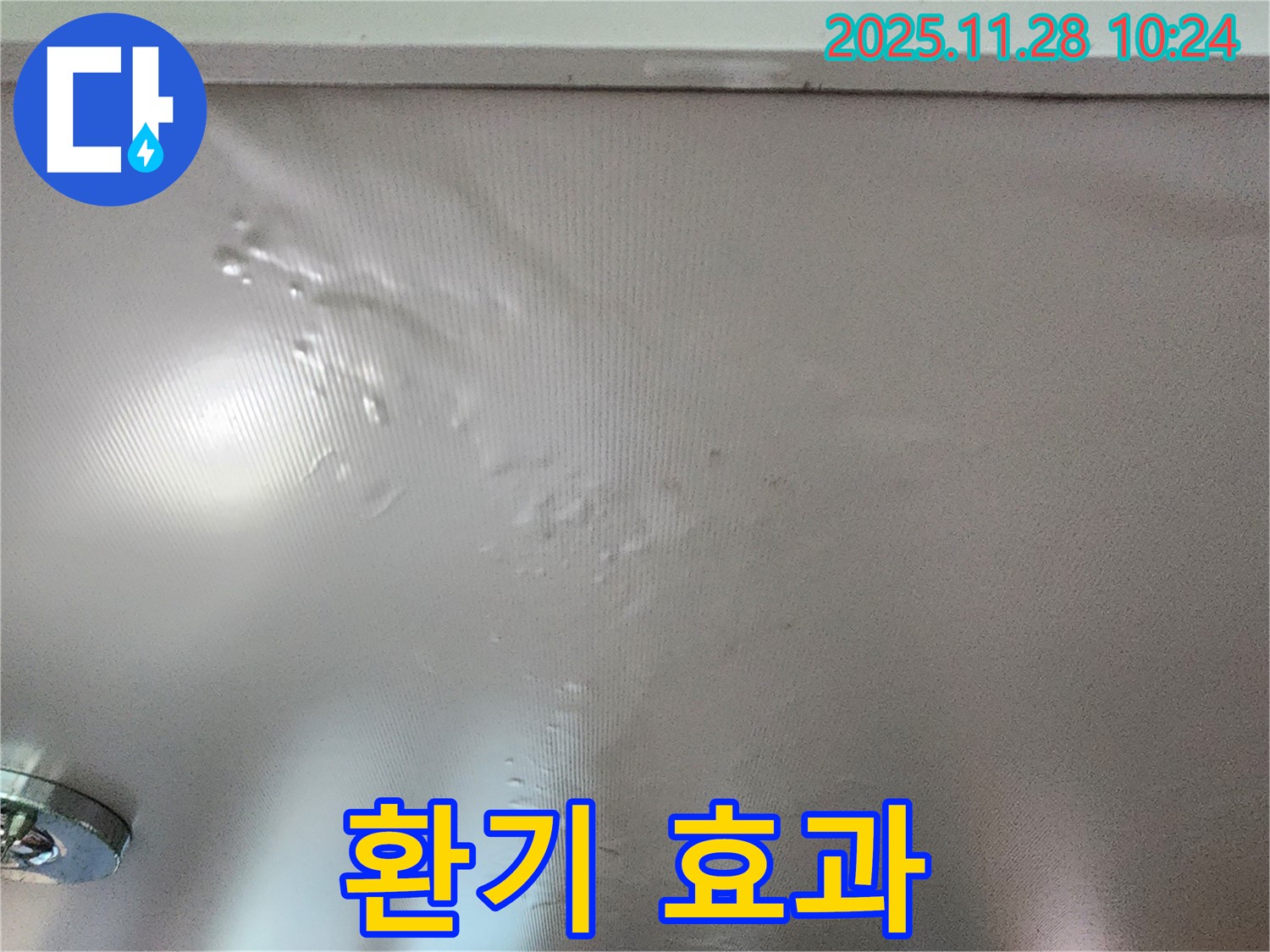 곰팡이 핀 벽 - 환기만 잘해도 괜찮을까요?