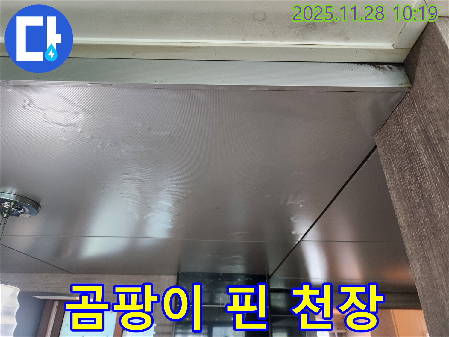 곰팡이 핀 천장 - 누수로 인해 곰팡이가 심하게 핀 천장 - 누수 해결과 곰팡이 제거가 시급합니다.