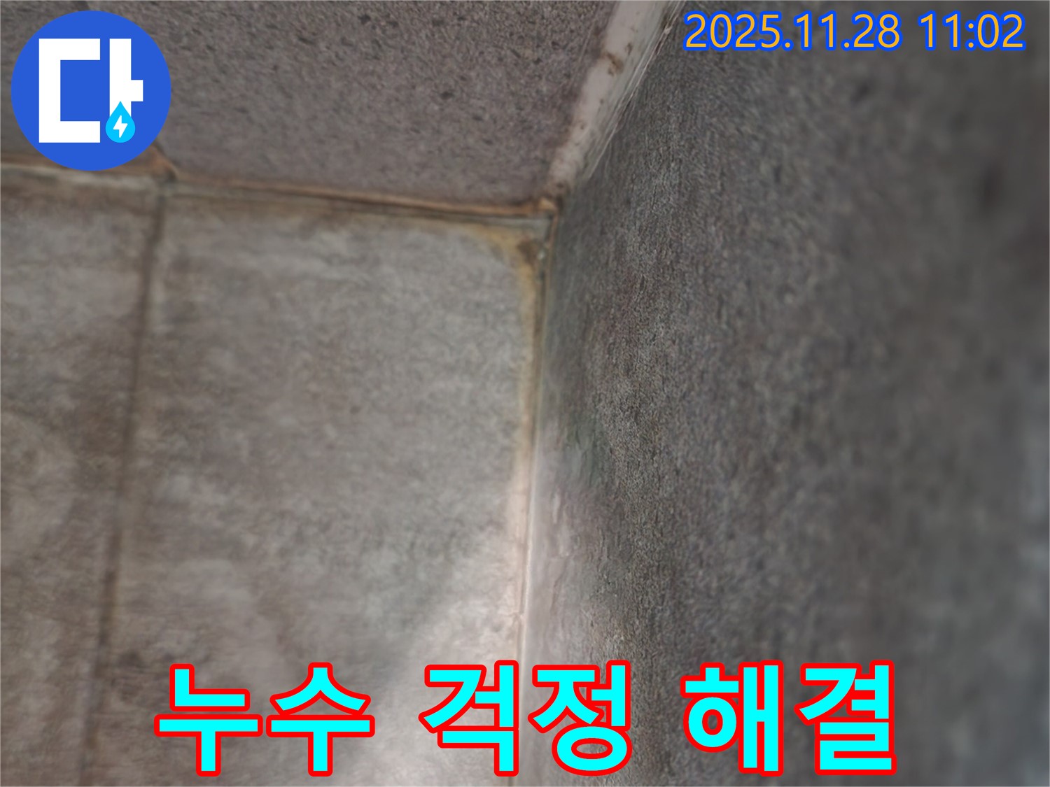 금동리 누수 문제 - 곰팡이 걱정 이제 그만!