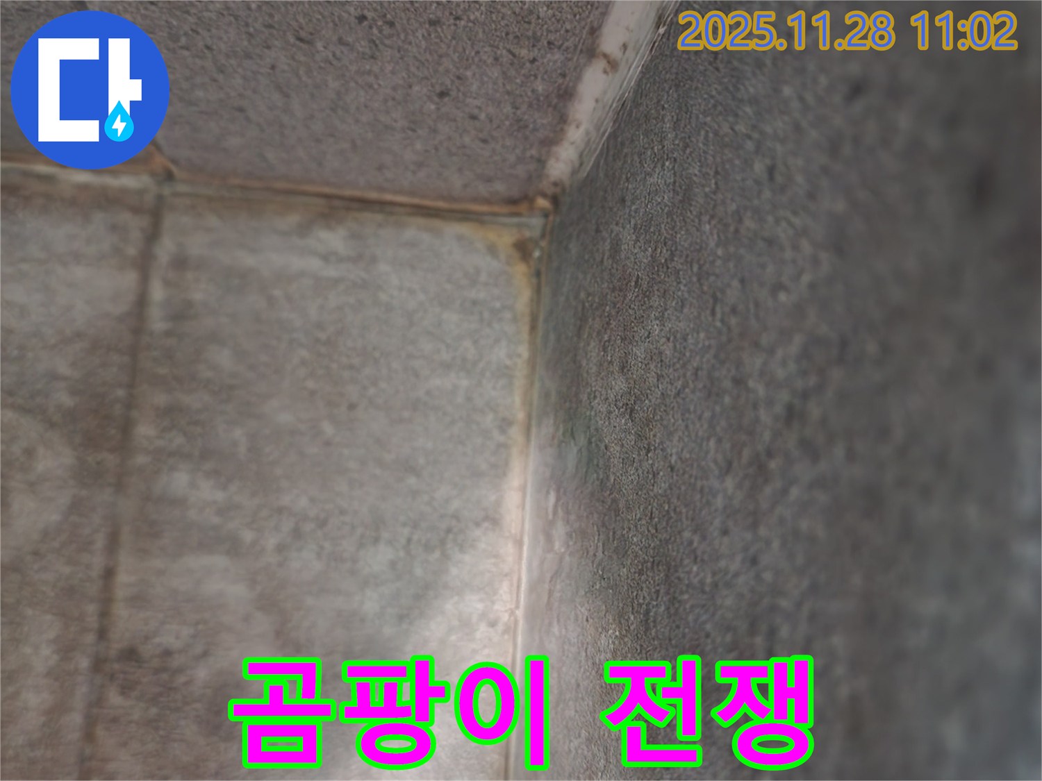 금동리 욕실 누수 - 천장 곰팡이 전쟁, 깨끗한 승리