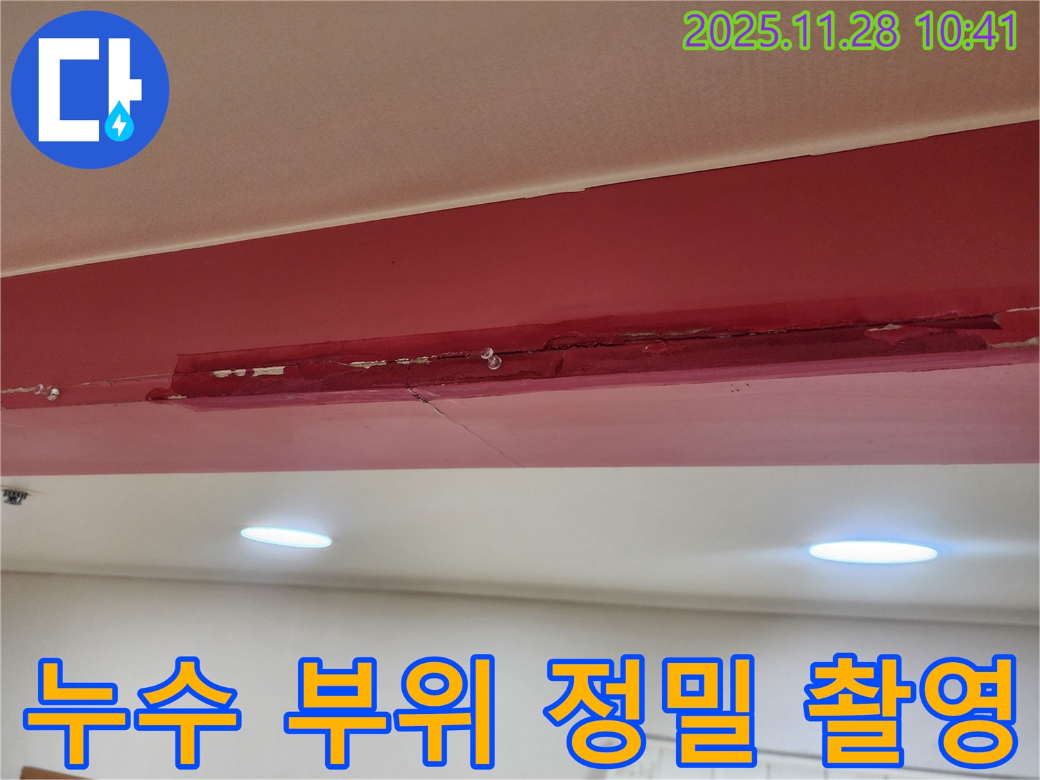 금동리 천장 누수 부위 정밀 촬영 - 누수 위치와 상태를 정확하게 파악