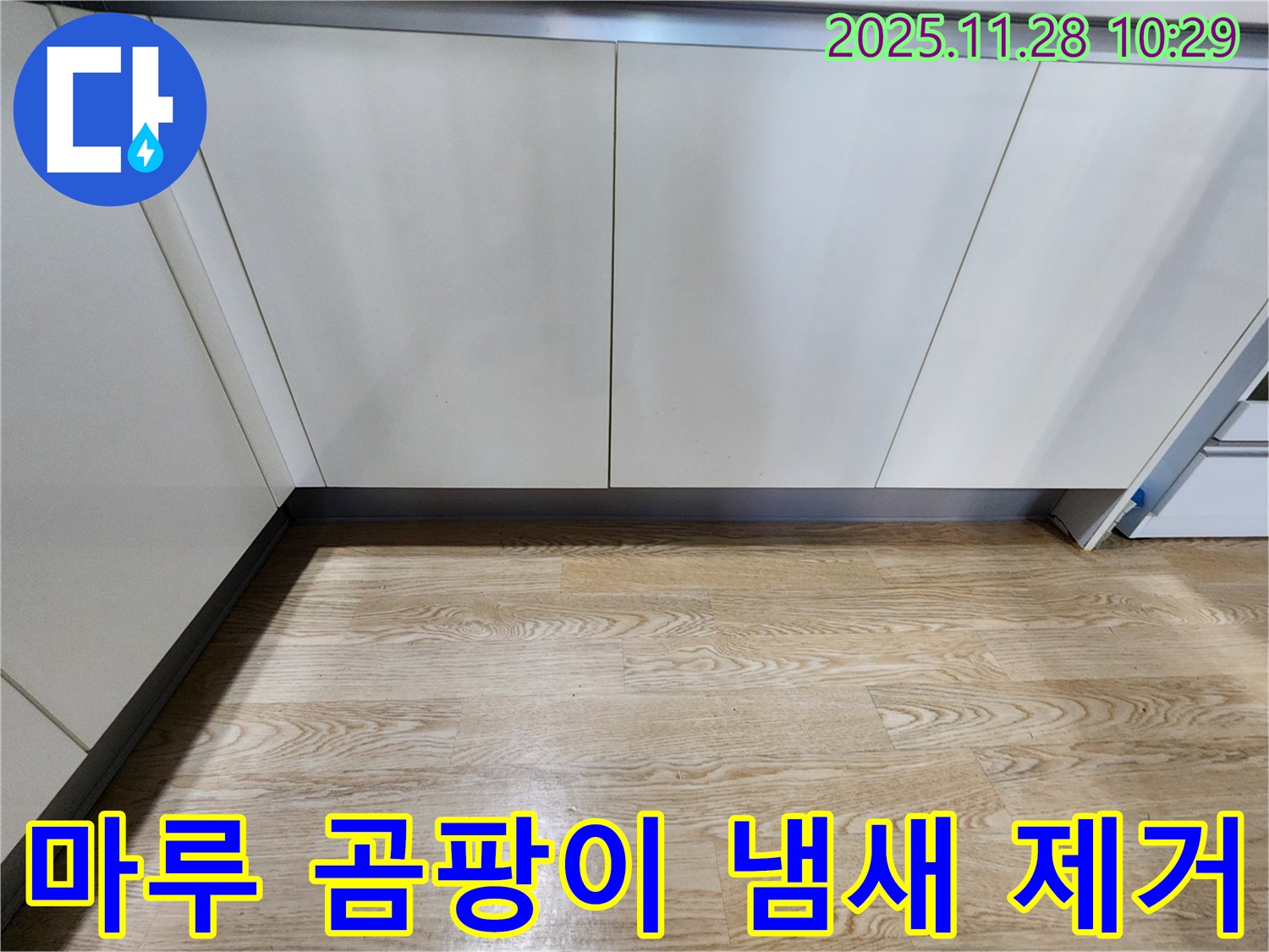 마루 곰팡이 냄새 제거 - 곰팡이와 냄새, 이제 안녕!