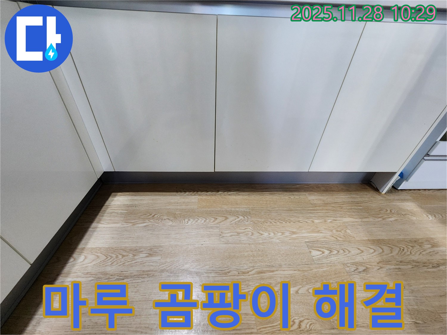 마루 곰팡이 해결 - 곰팡이 문제, 이제 저희에게 맡겨주세요!