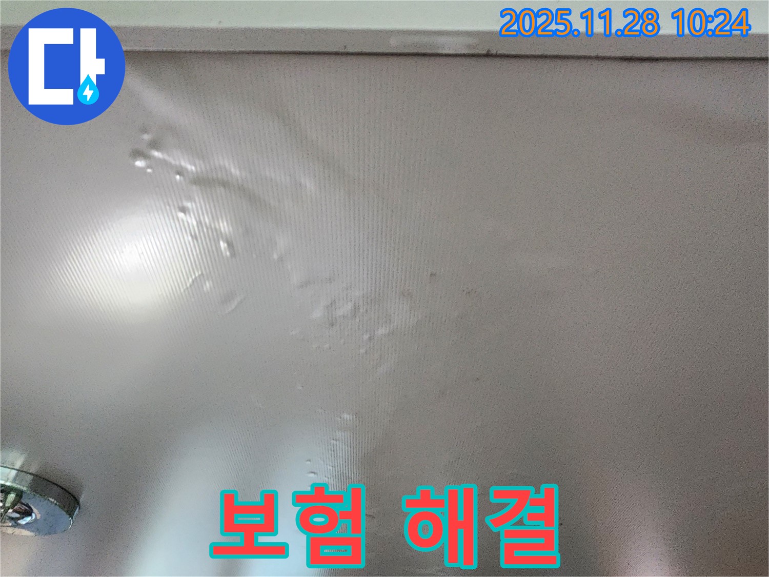 벽에 곰팡이가 핀 경우 누수 보험으로 해결할 수 있습니다.