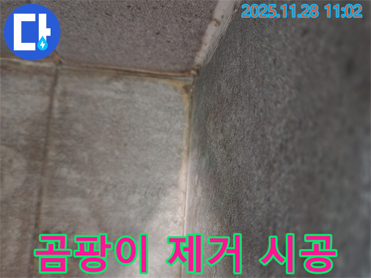 신북면 금동리 누수 현장 - 곰팡이 완벽 제거 및 쾌적한 공간으로 변화