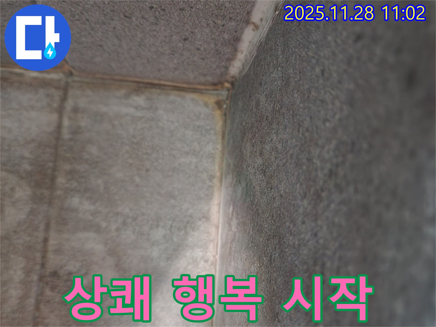신북면 금동리 욕실 누수 - 곰팡이 탈출, 상쾌한 행복 시작