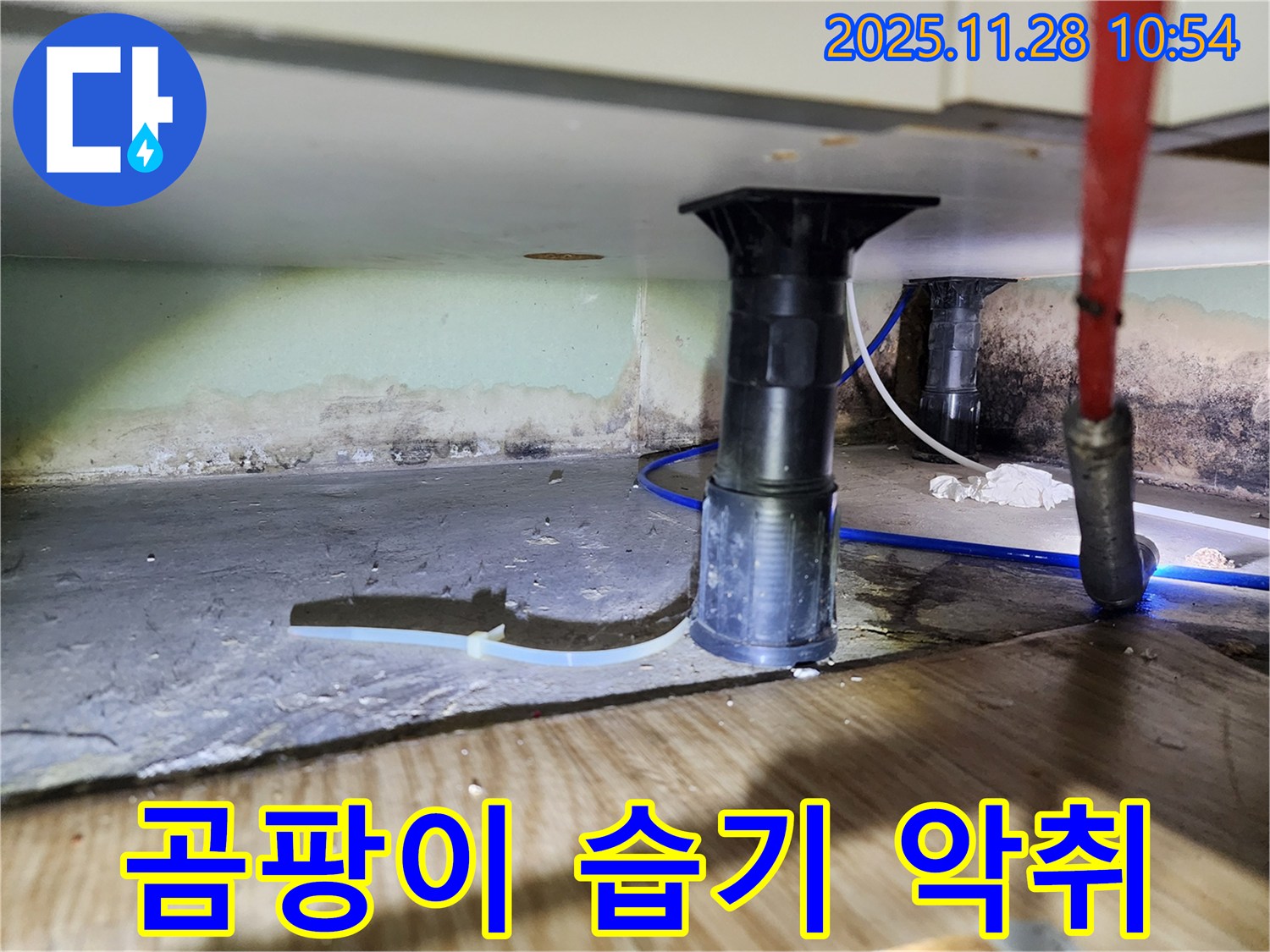 싱크대 누수 - 곰팡이, 습기, 악취 한 번에 해결
