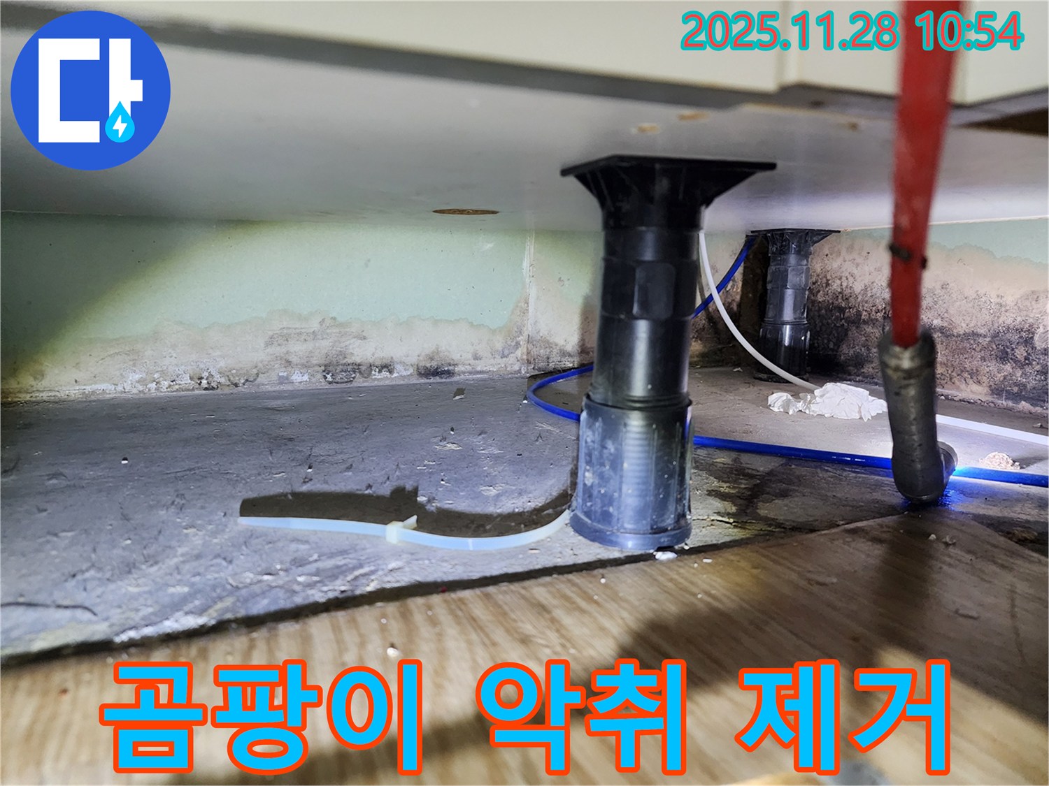 싱크대 누수 - 곰팡이 악취 제거, 건강 지킴이