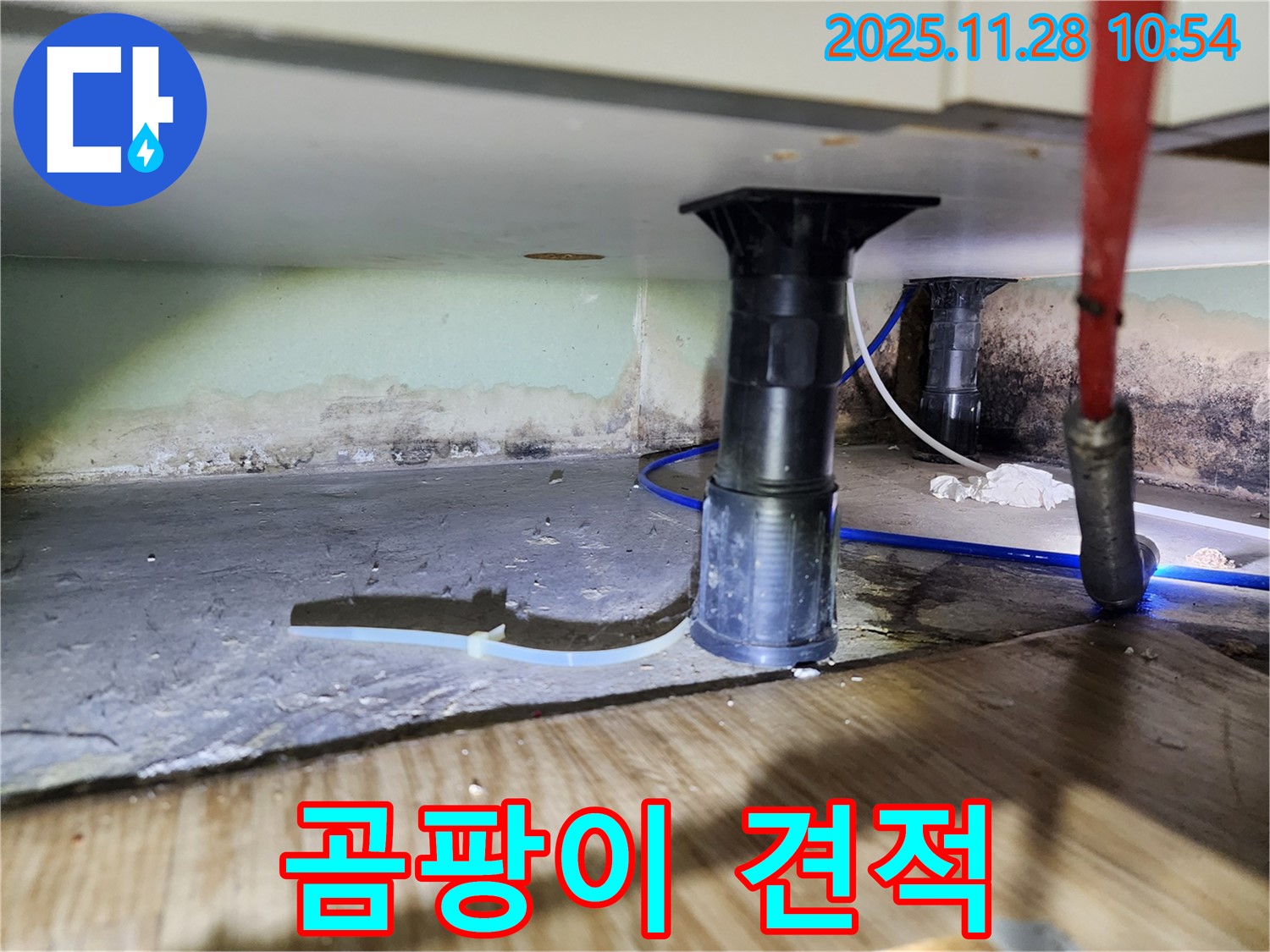 싱크대 하부 곰팡이 - 냄새 제거, 건강, 쾌적, 견적