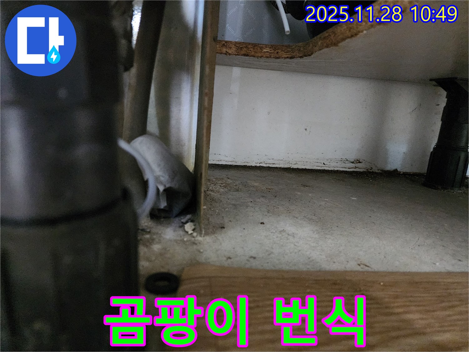 싱크대 하부 - 곰팡이 심한 번식 - 누수 진행 중