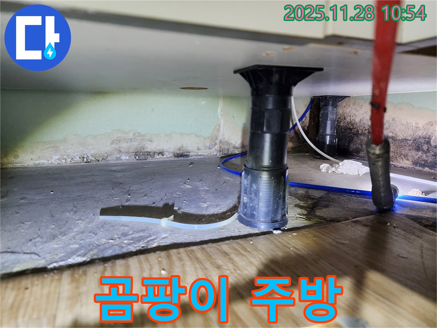 싱크대 하부 곰팡이 - 쾌적한 주방 되찾기