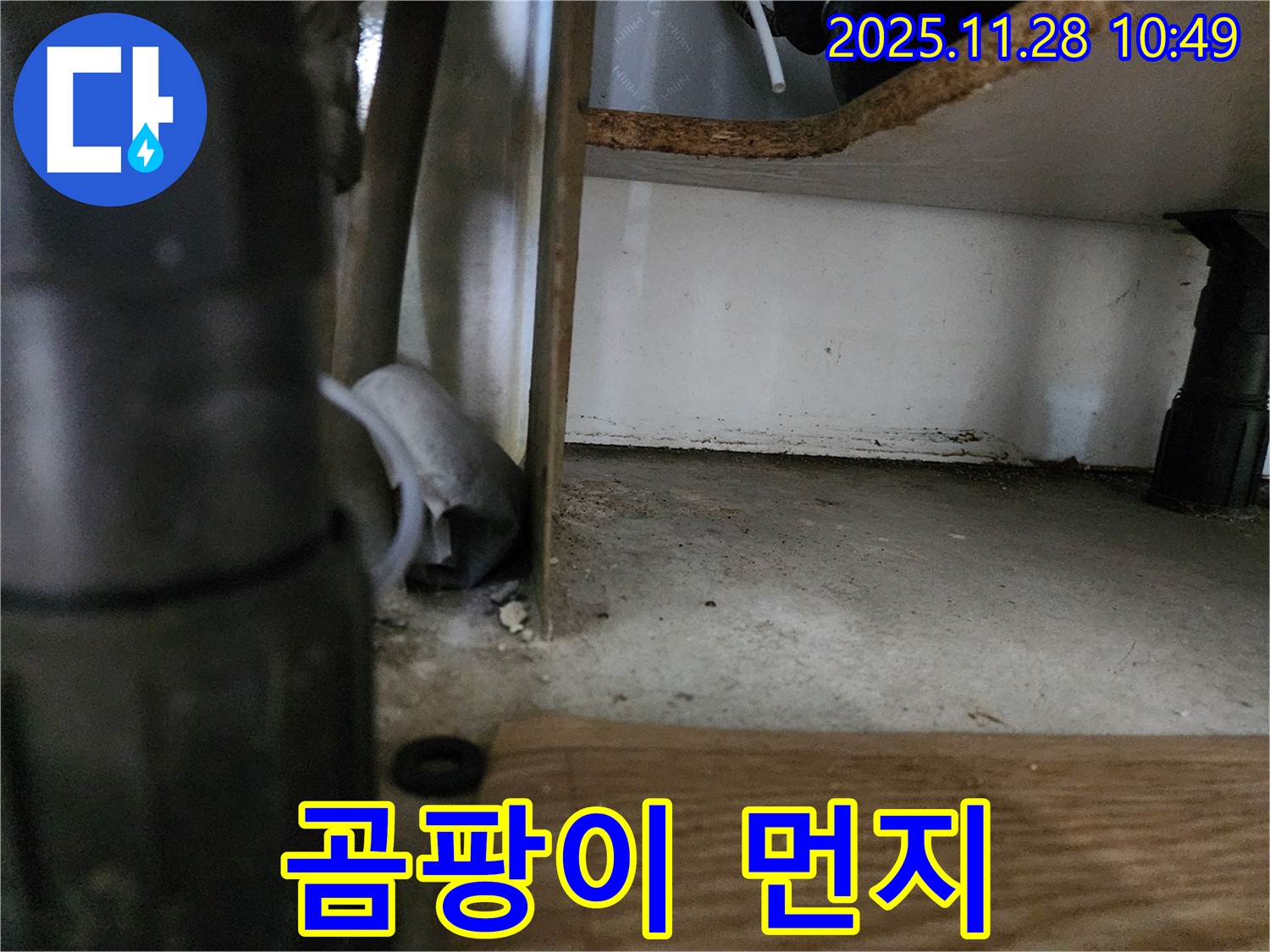 싱크대 하부 - 곰팡이와 먼지 엉겨붙음 - 누수 의심