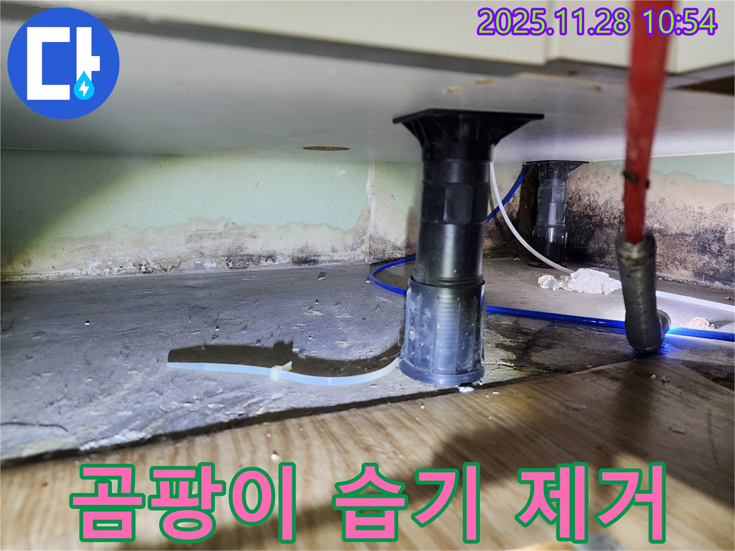 싱크대 하부 누수 - 곰팡이, 습기, 악취 제거, 쾌적