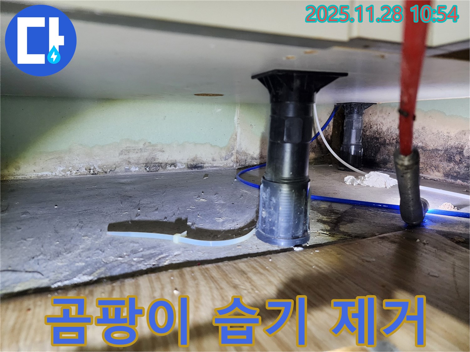 싱크대 하부 누수 - 곰팡이, 습기, 악취 제거, 쾌적