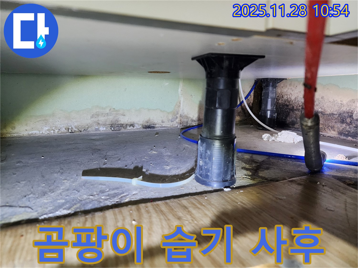 싱크대 하부 누수 - 곰팡이 제거, 건강, 안심, 사후관리
