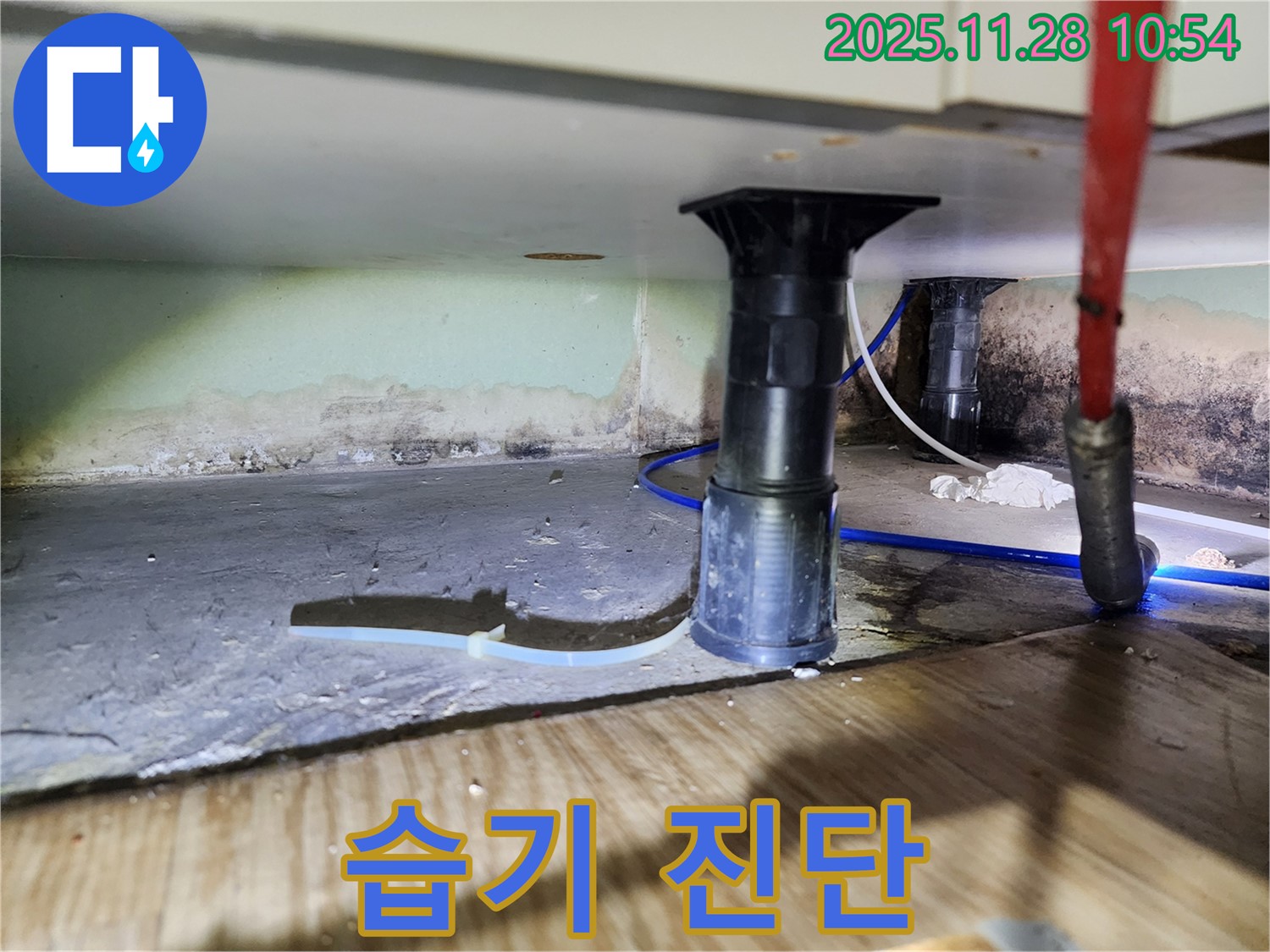 싱크대 하부 누수 - 습기, 곰팡이, 악취 가능성, 사전 진단