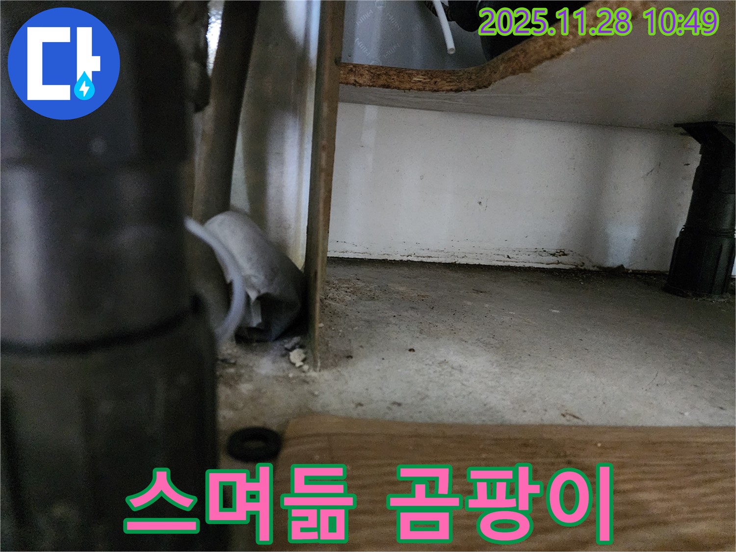 싱크대 하부 - 물 스며듦, 곰팡이 시작 - 초기 누수, 습도 높음