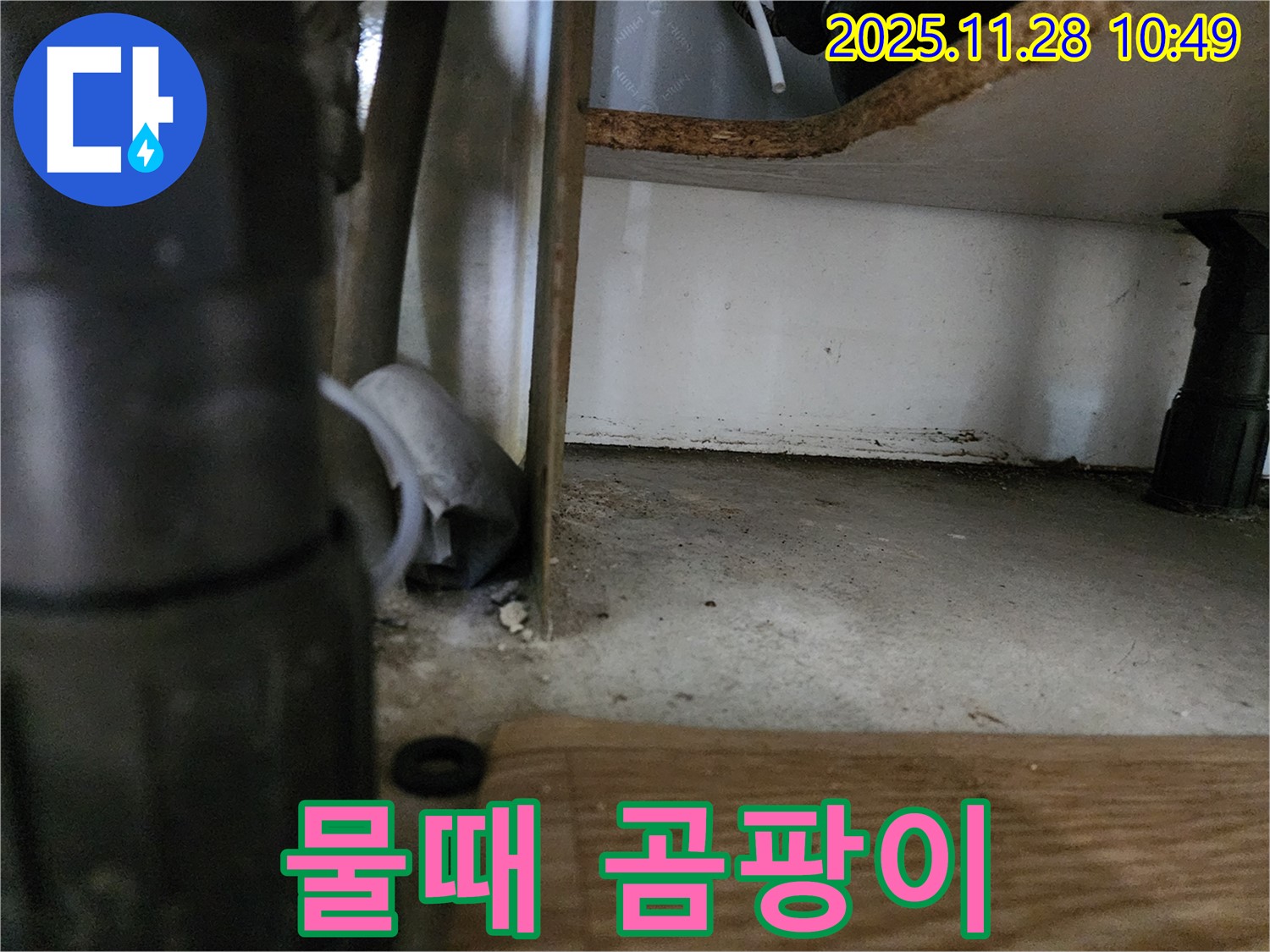 싱크대 하부 - 물때와 곰팡이, 오염 심각