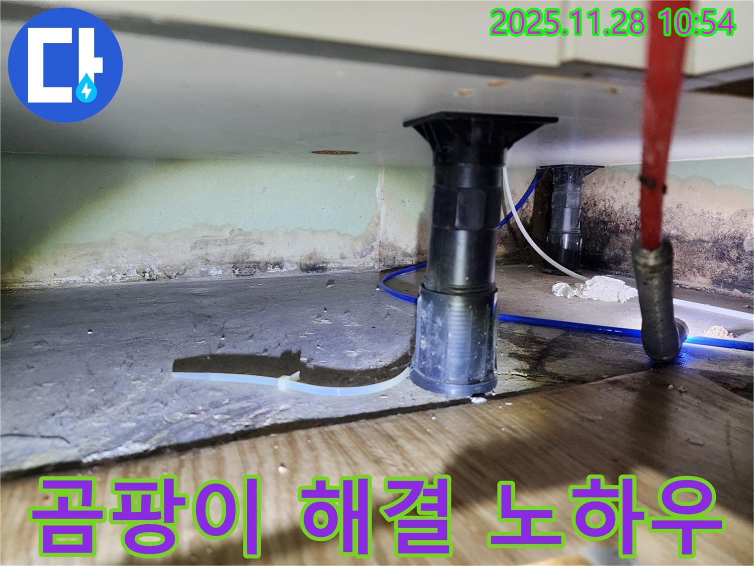 싱크대 하부 습기 - 곰팡이, 악취 발생 전 완벽 해결 노하우