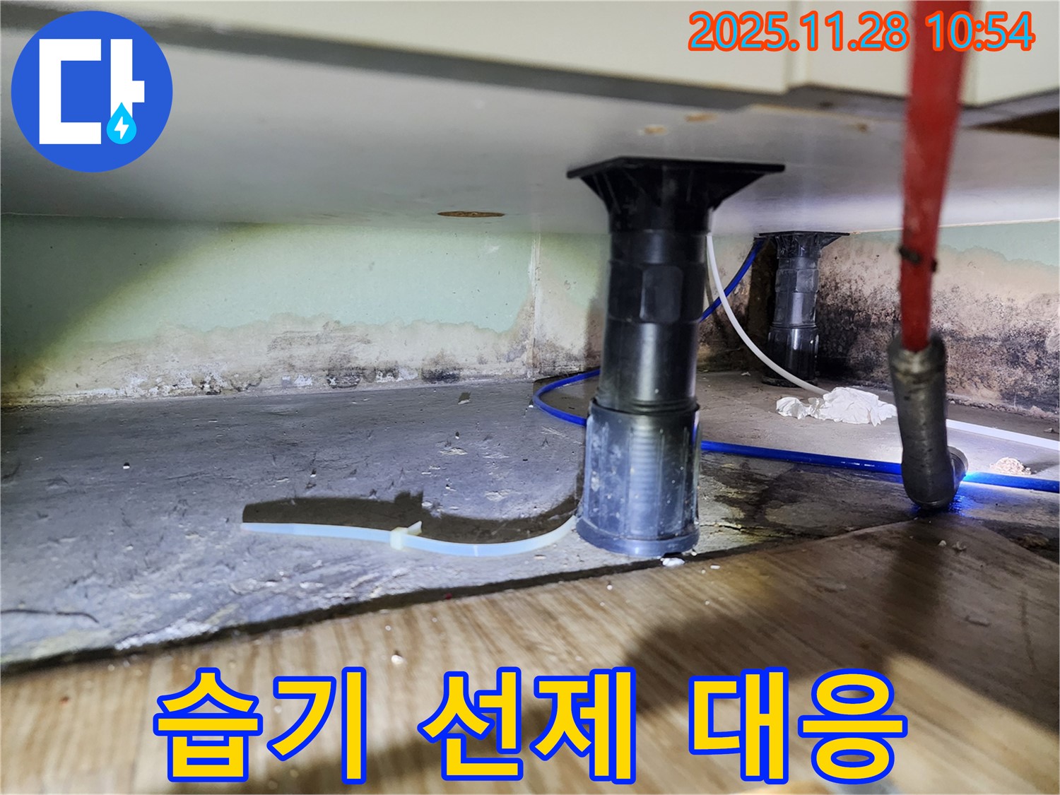싱크대 하부 습기 - 곰팡이, 악취 선제적 대응