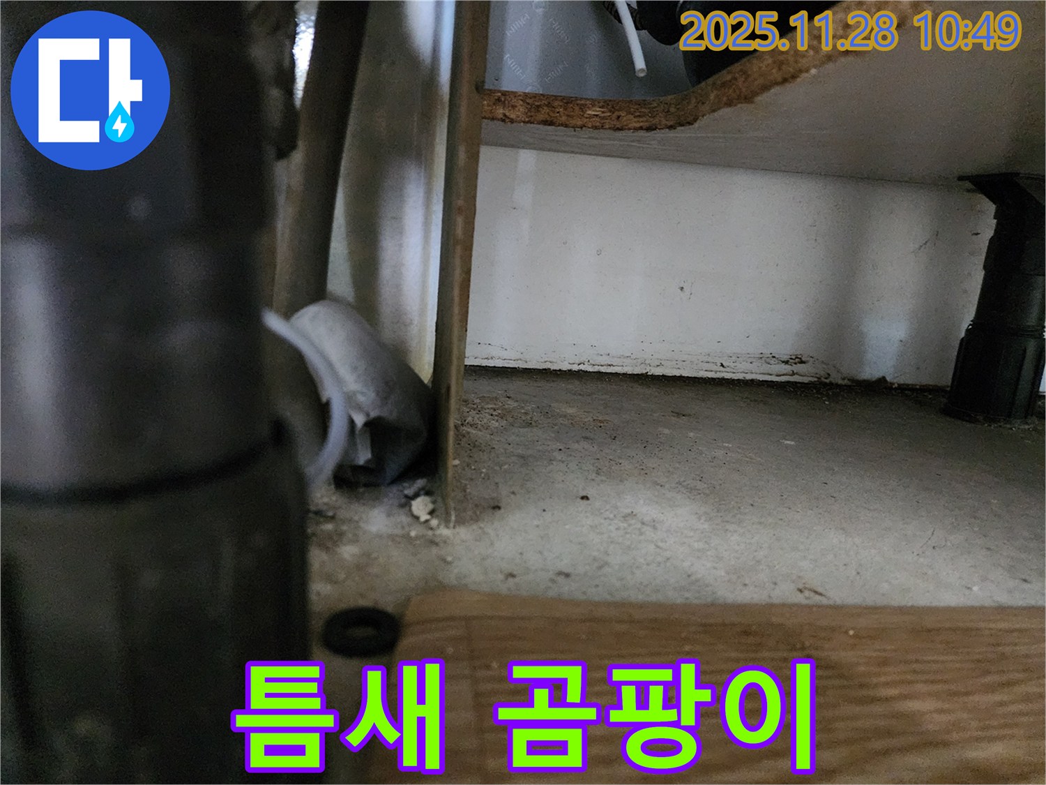 싱크대 하부 - 틈새 곰팡이, 습기 - 누수 의심