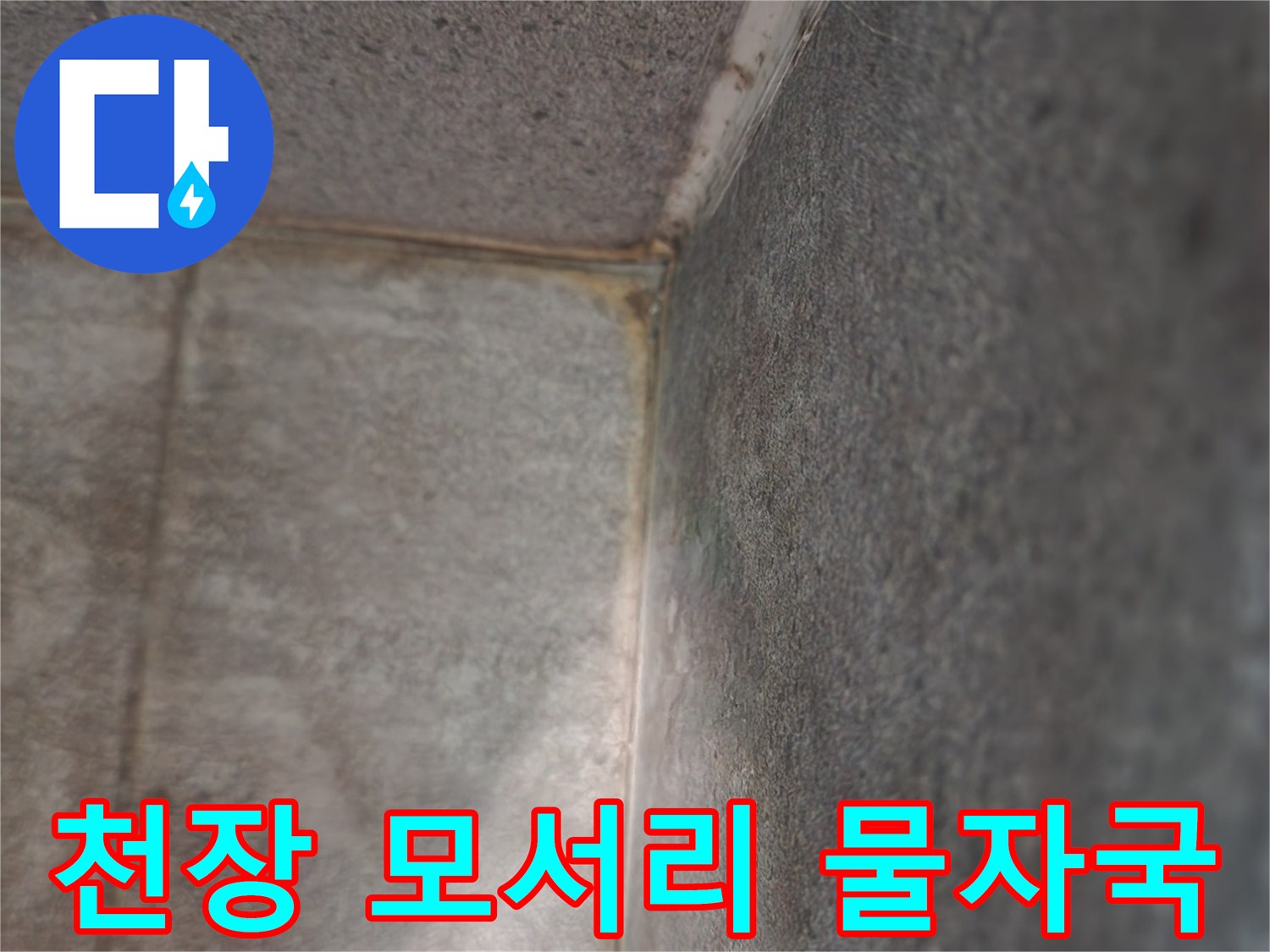 천장-모서리-벽면의-습윤한-변색-상태