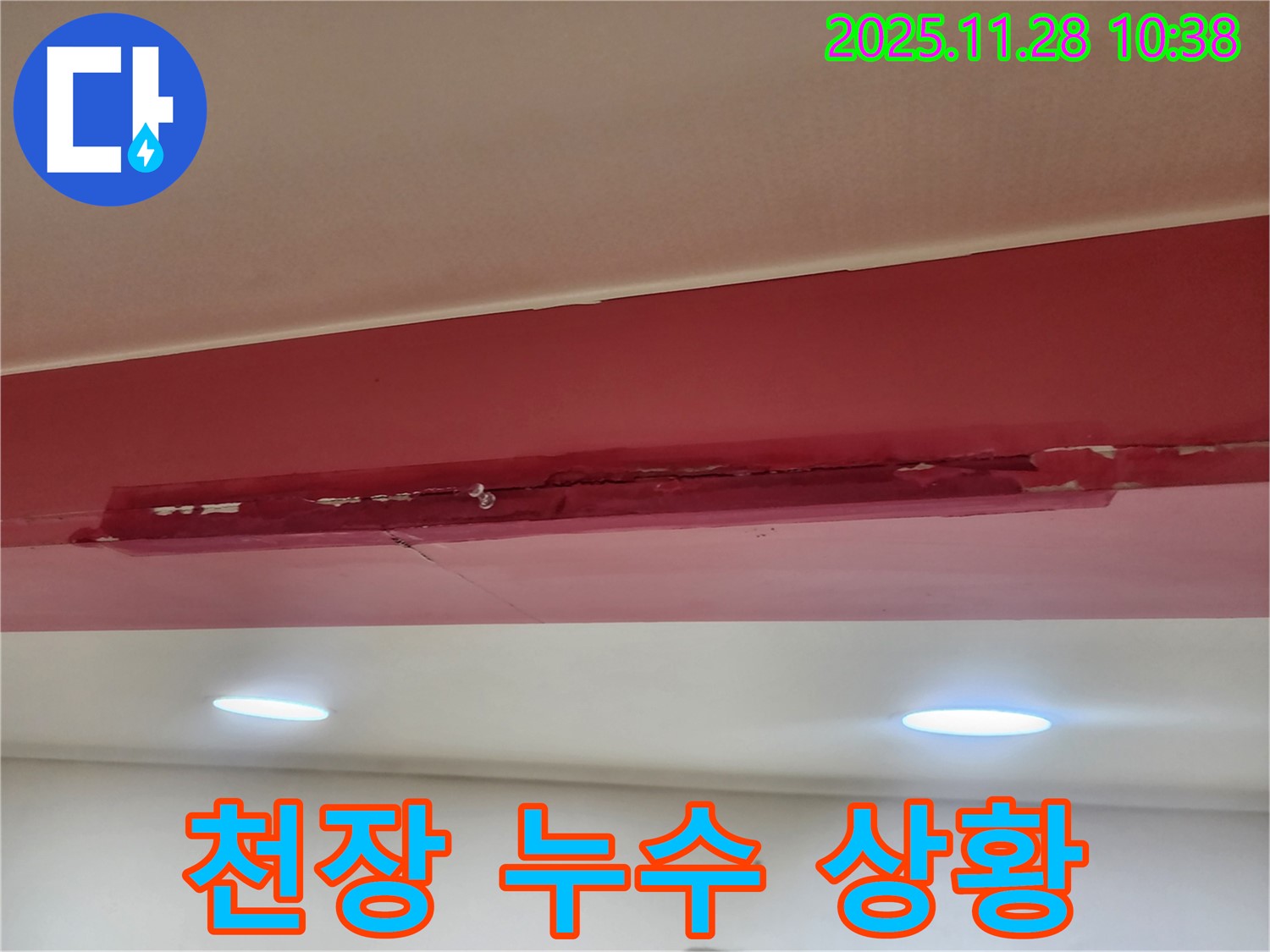 포천 금동리 건물 천장 누수 상황 - 물 떨어짐과 젖은 천장