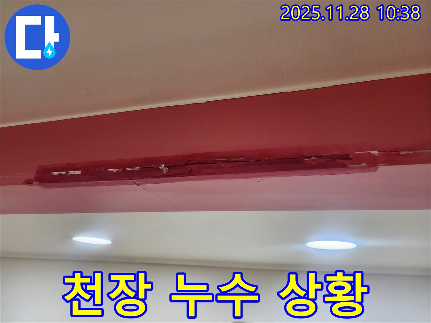 포천 금동리 건물 천장 누수 상황 - 젖은 천장과 물 떨어짐