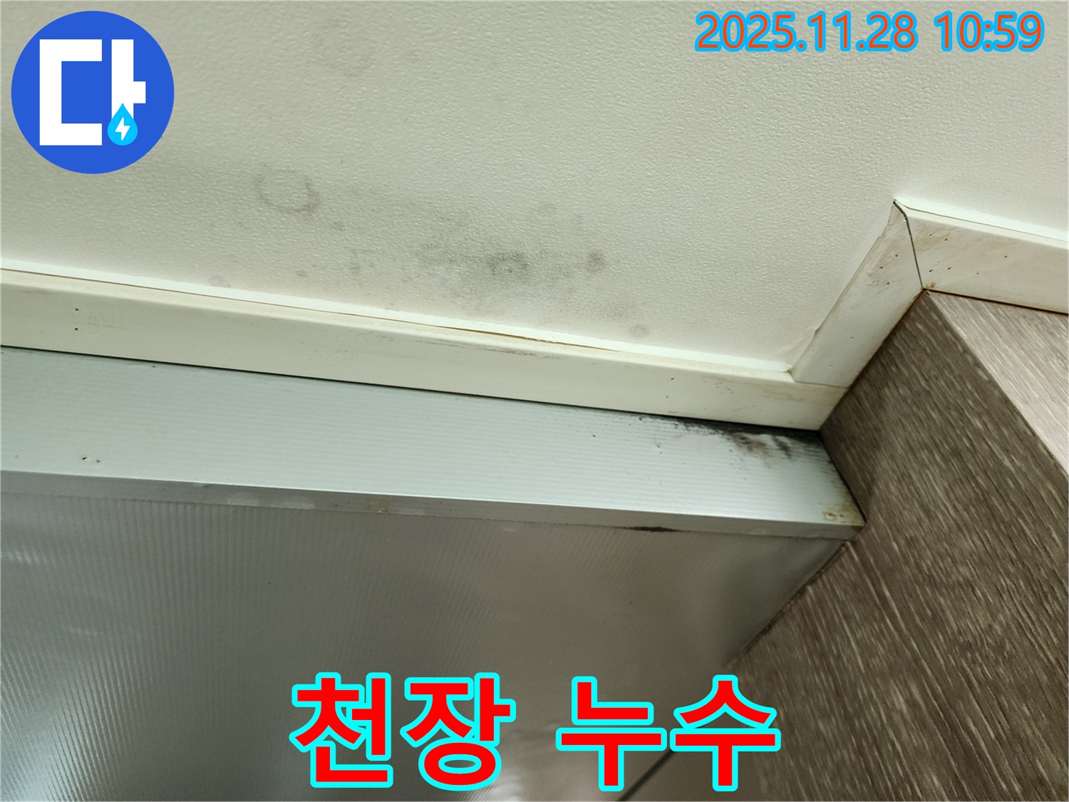 포천 금동리 천장 누수