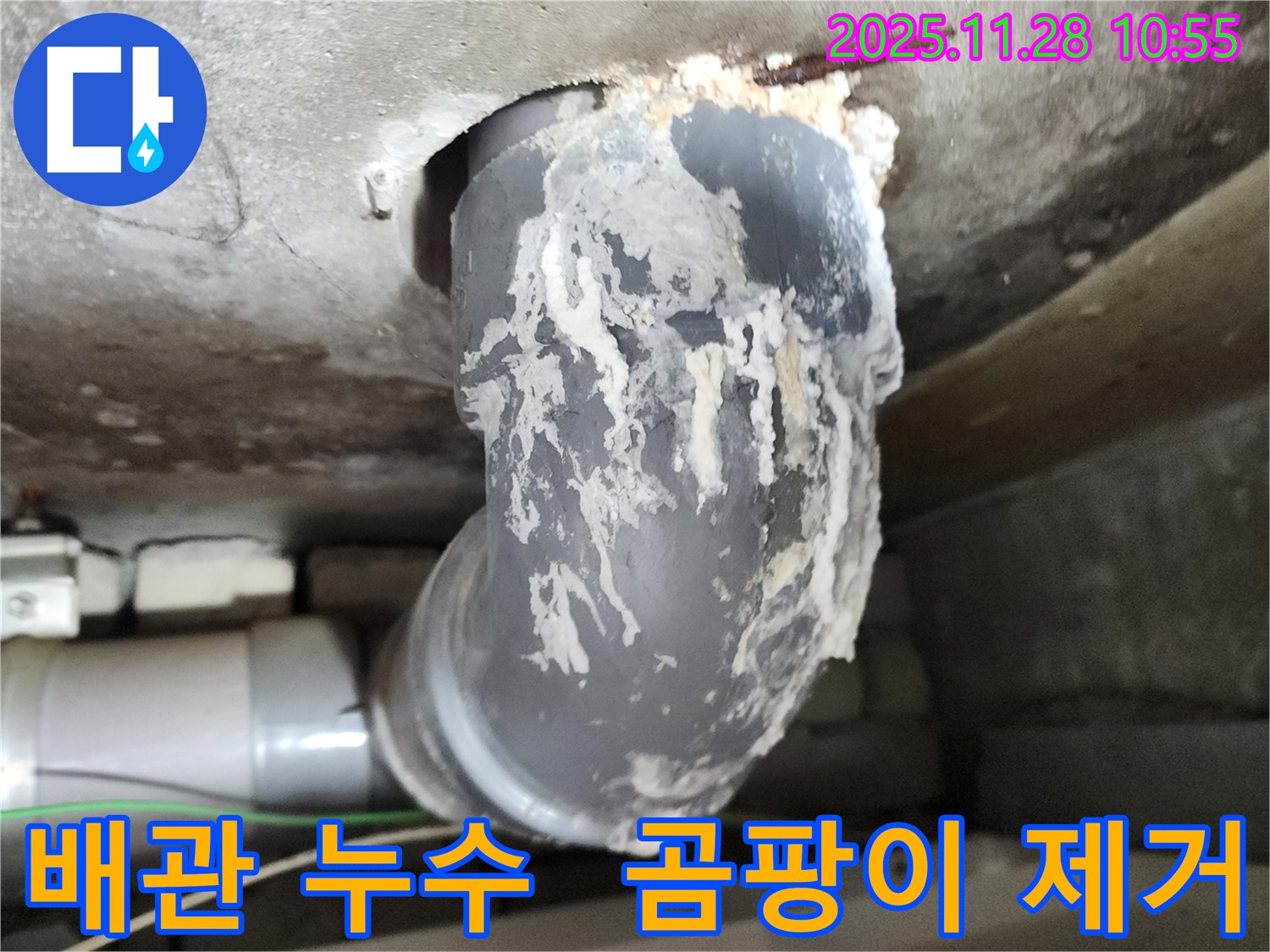 포천 신북면 금동리 누수 - 배관 누수, 곰팡이 제거 시공
