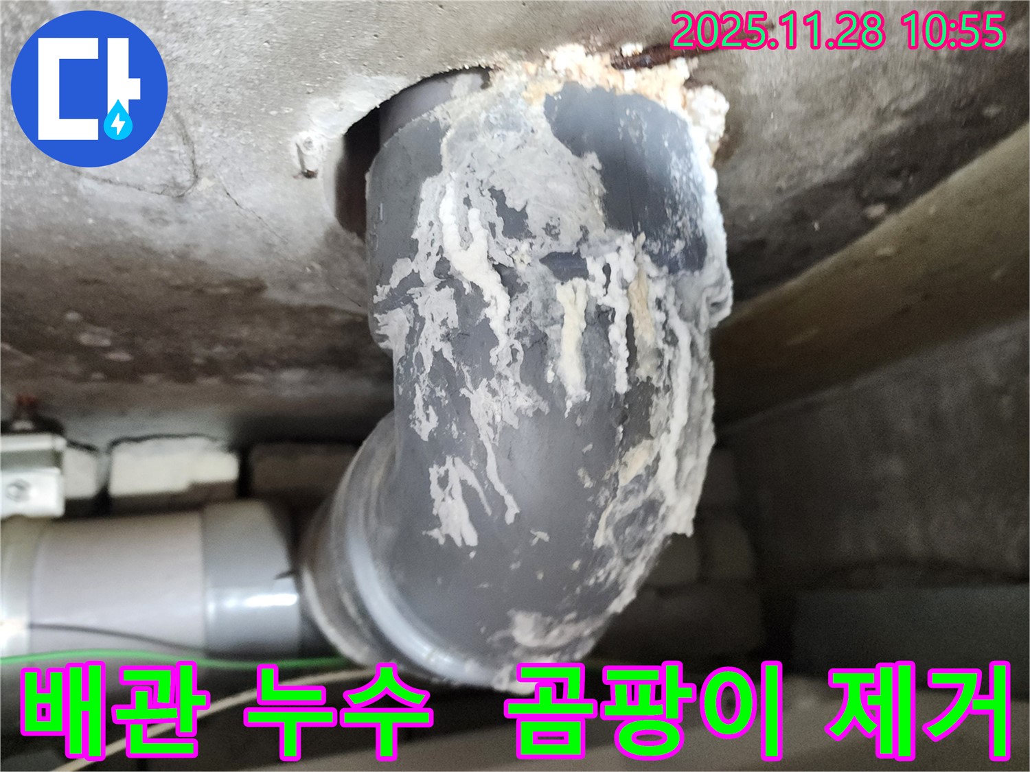 포천 신북면 금동리 누수 - 배관 누수, 곰팡이 제거 시공