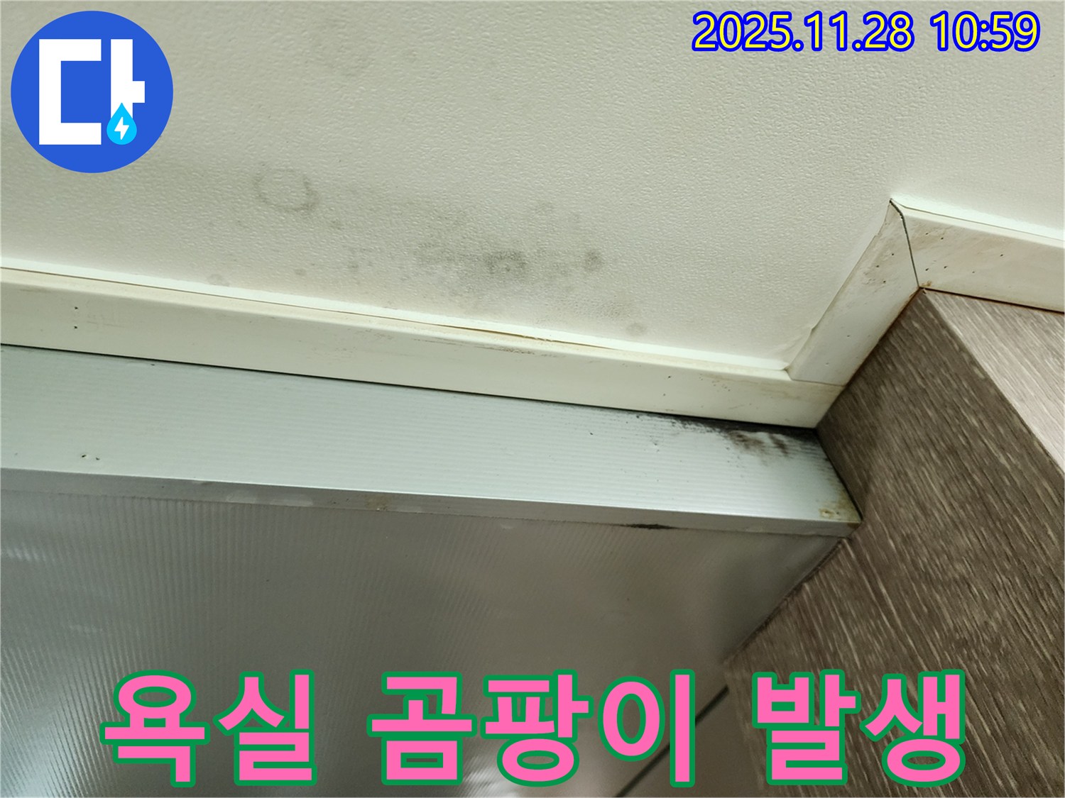 포천 신북면 금동리 누수 - 욕실 천장 곰팡이 발생