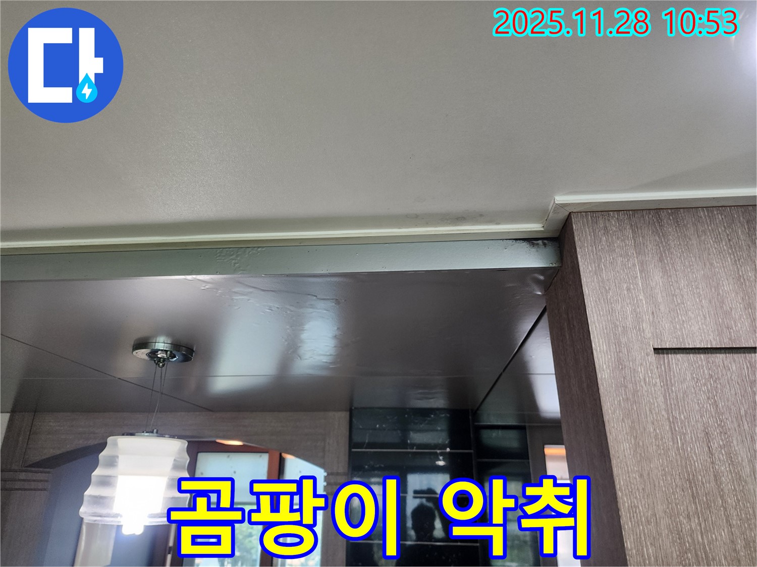 포천 신북면 금동리 누수 - 천장 곰팡이 악취 발생