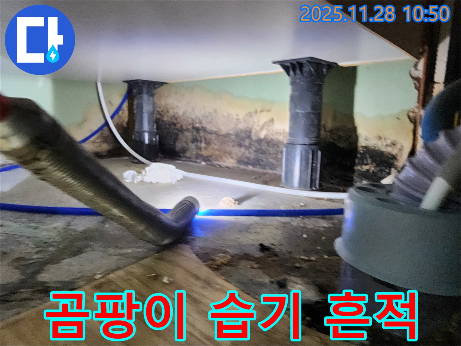 포천 신북면 누수 - 곰팡이와 습기로 얼룩진 누수 현장