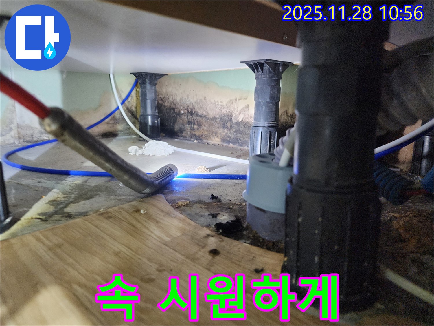 포천 신북면 누수 - 싱크대 누수, 곰팡이, 냄새 3중고 해결