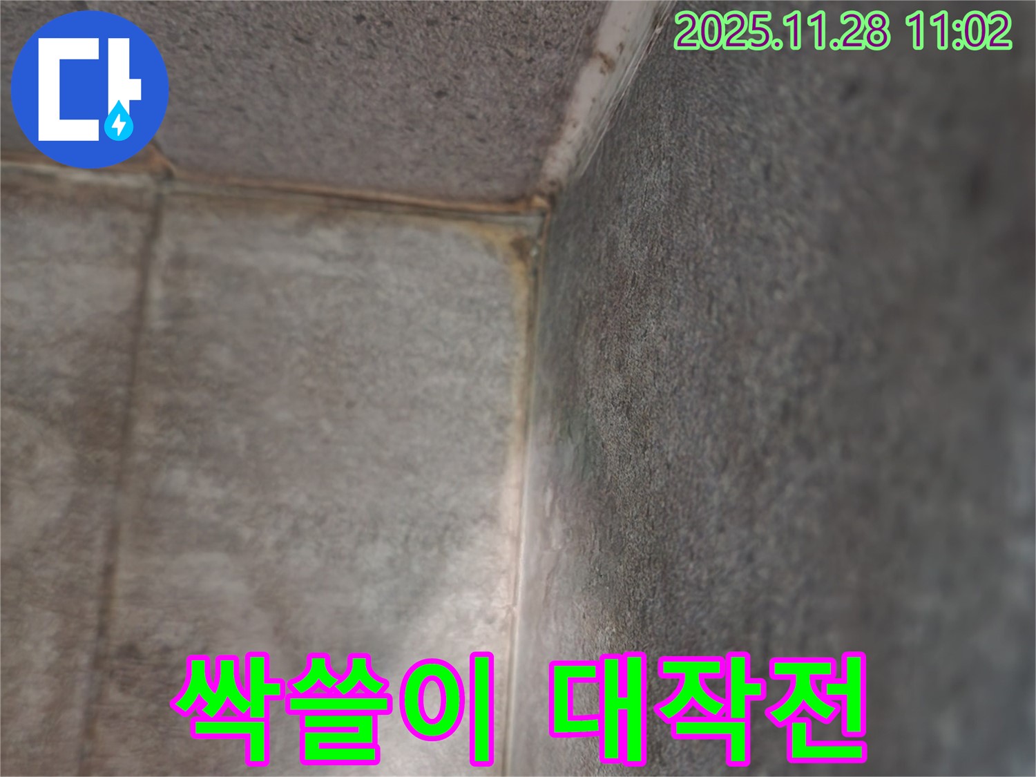 포천시 욕실 누수 - 곰팡이 싹쓸이, 쾌적 변신