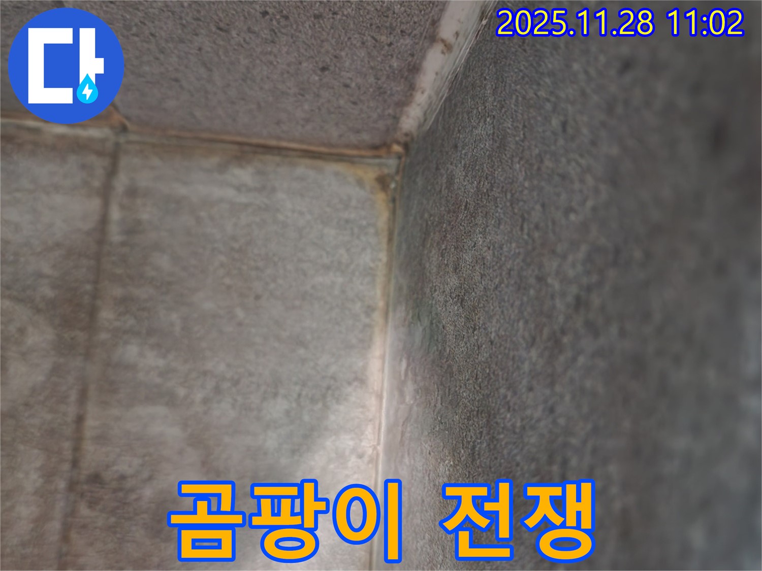 포천시 욕실 누수 - 곰팡이 전쟁, 쾌적 변신