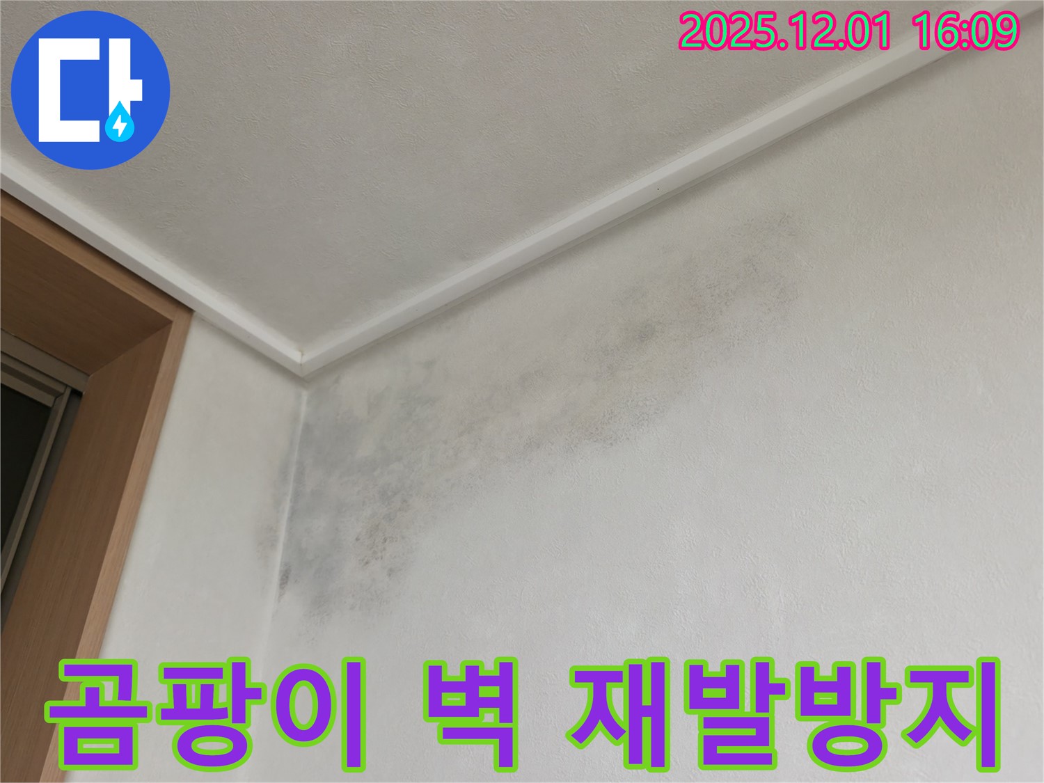 곰팡이 벽 - 완벽한 시공 - 기흥 누수