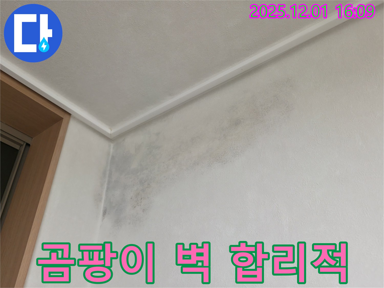 곰팡이 벽 - 합리적 비용 - 기흥역로 누수 곰팡이
