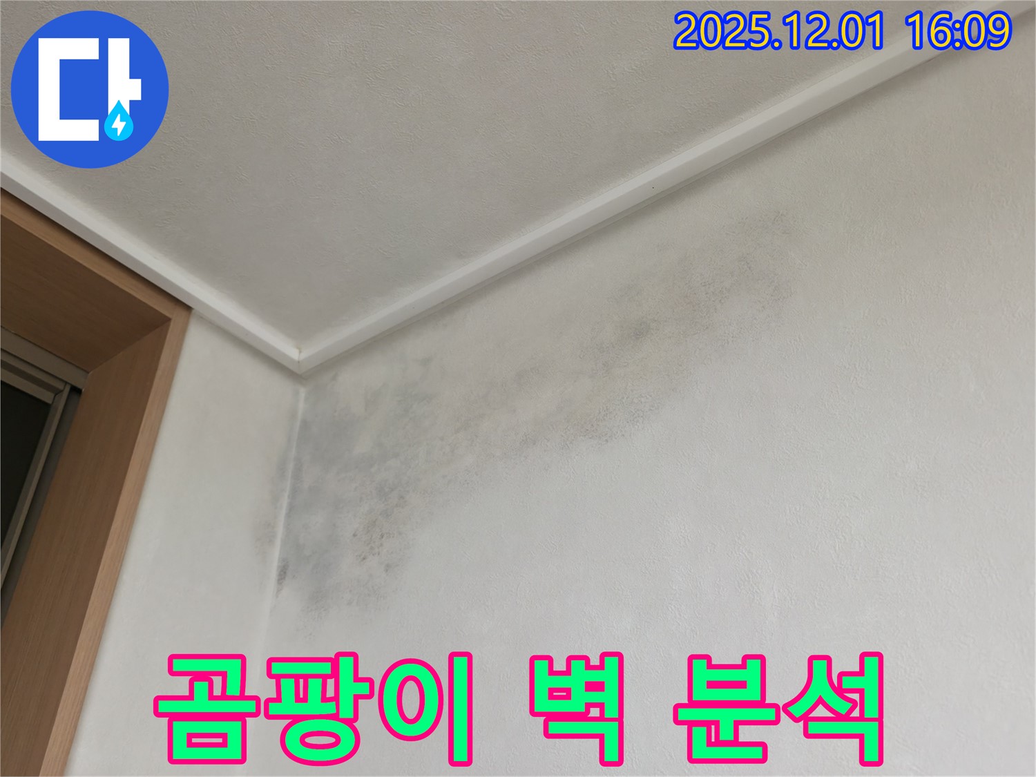 곰팡이 핀 벽 - 꼼꼼한 분석 - 구갈동 곰팡이 누수