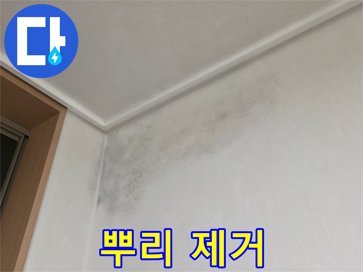 구갈동 누수 - 곰팡이 뿌리까지 뽑는 확실한 제거 작업