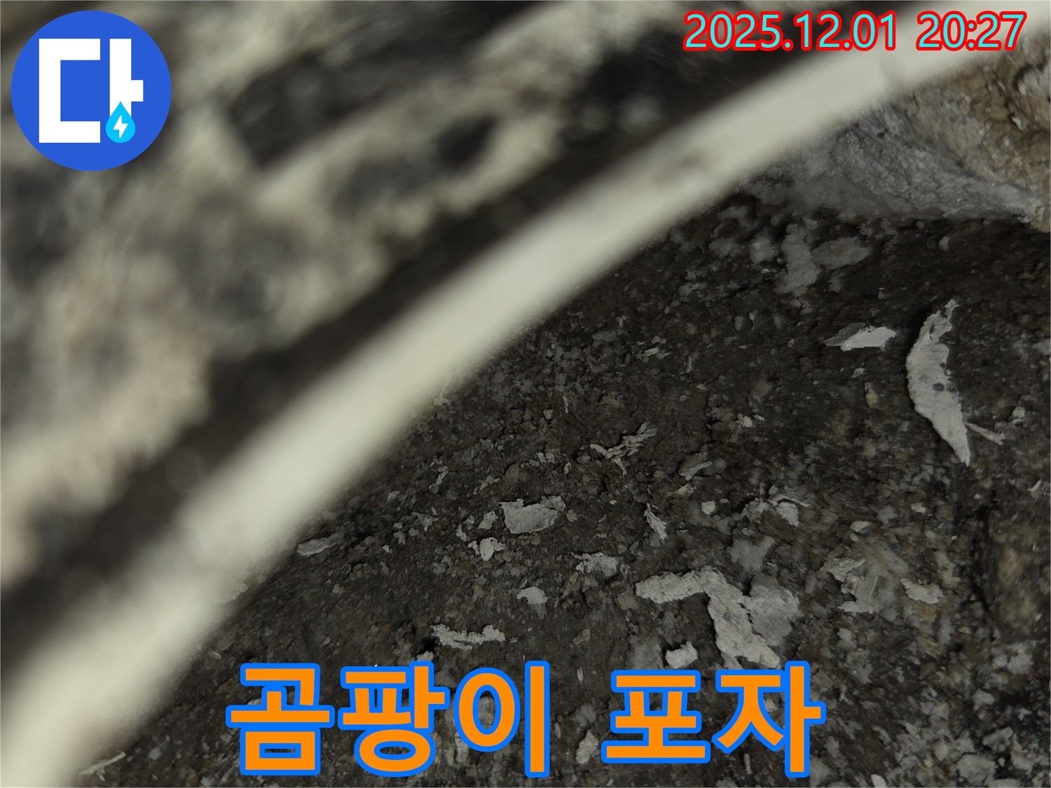 능동 아파트 누수탐지 - 배관 주변 곰팡이 포자 발견