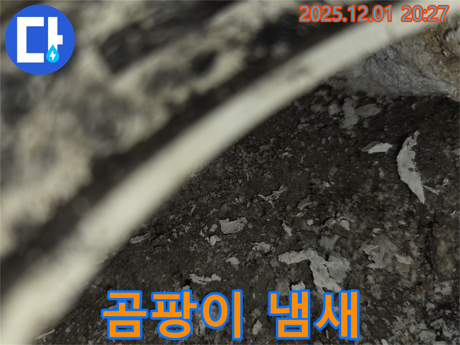 동탄 모아미래도 아파트 누수 - 곰팡이 냄새 진동