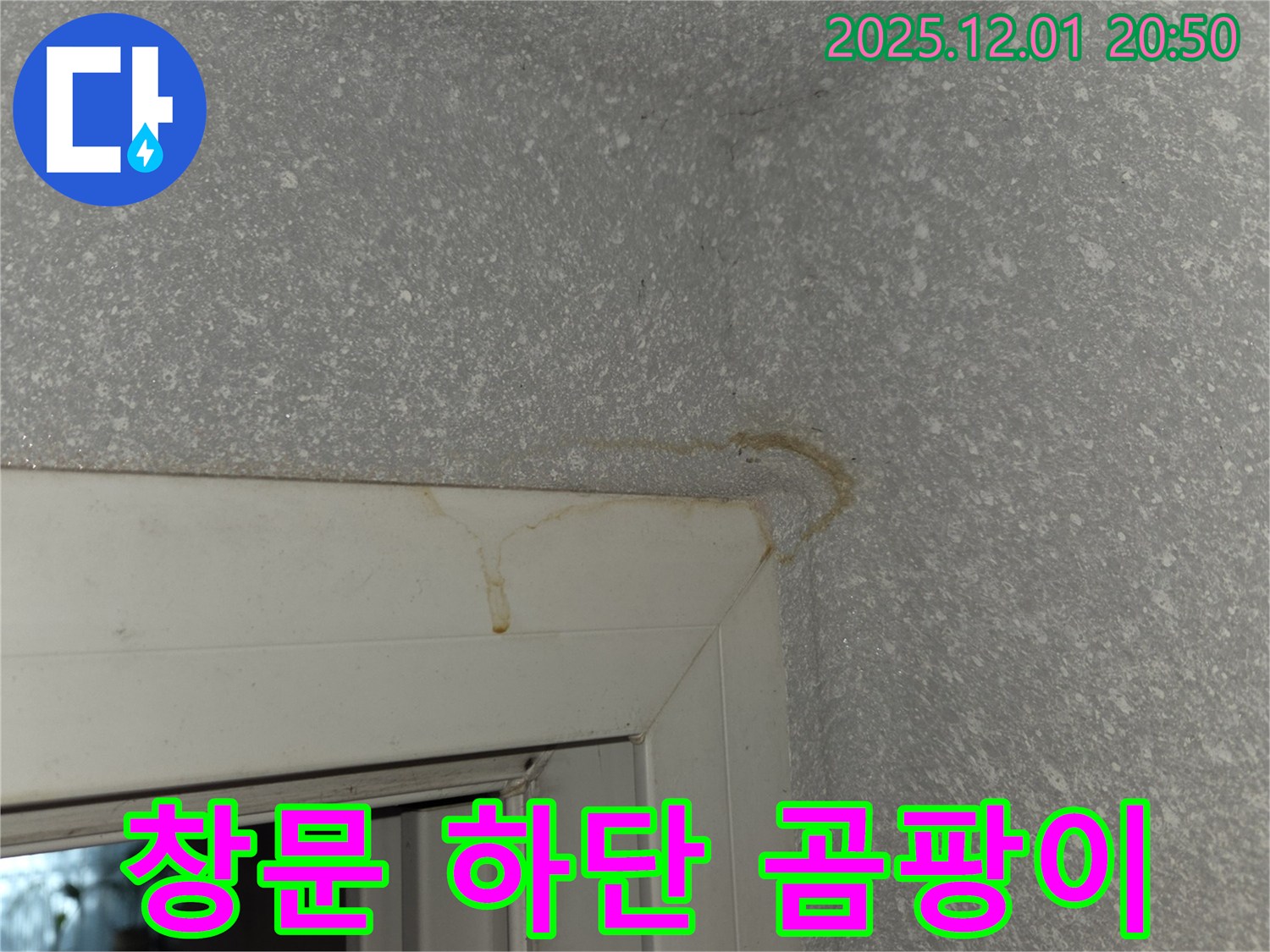 창문 하단 누수로 인한 곰팡이 - 누수 해결과 곰팡이 제거를 동시에!