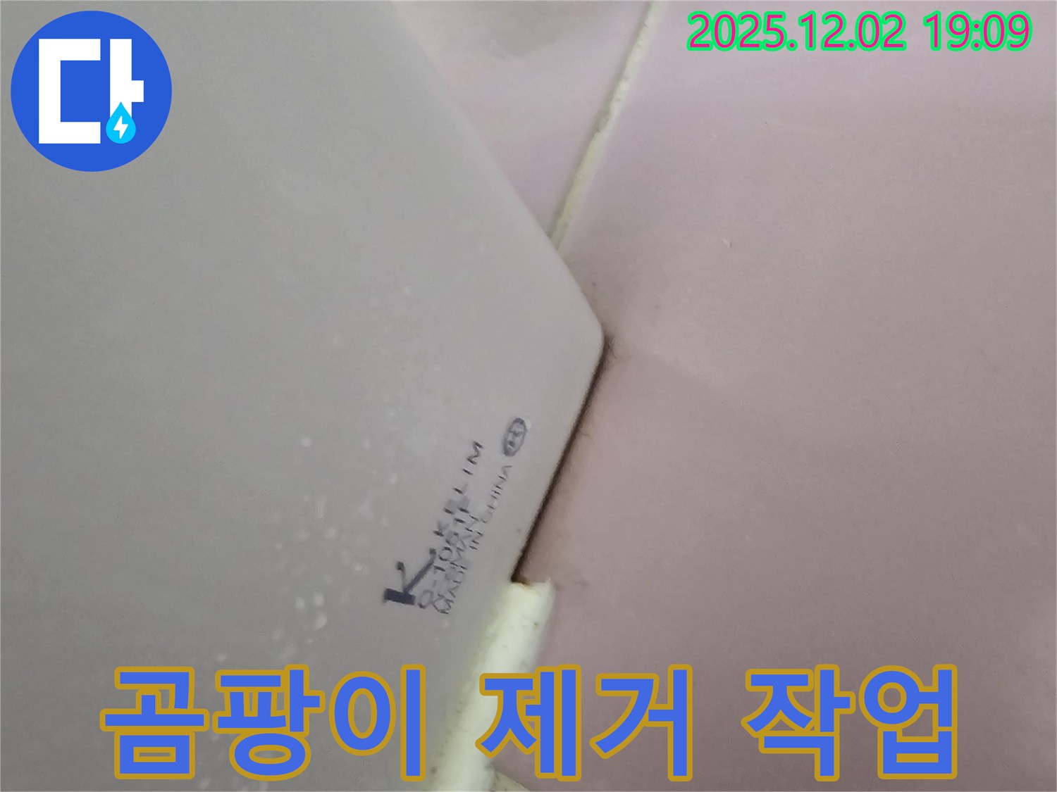 곰팡이 제거 - 깨끗하게!