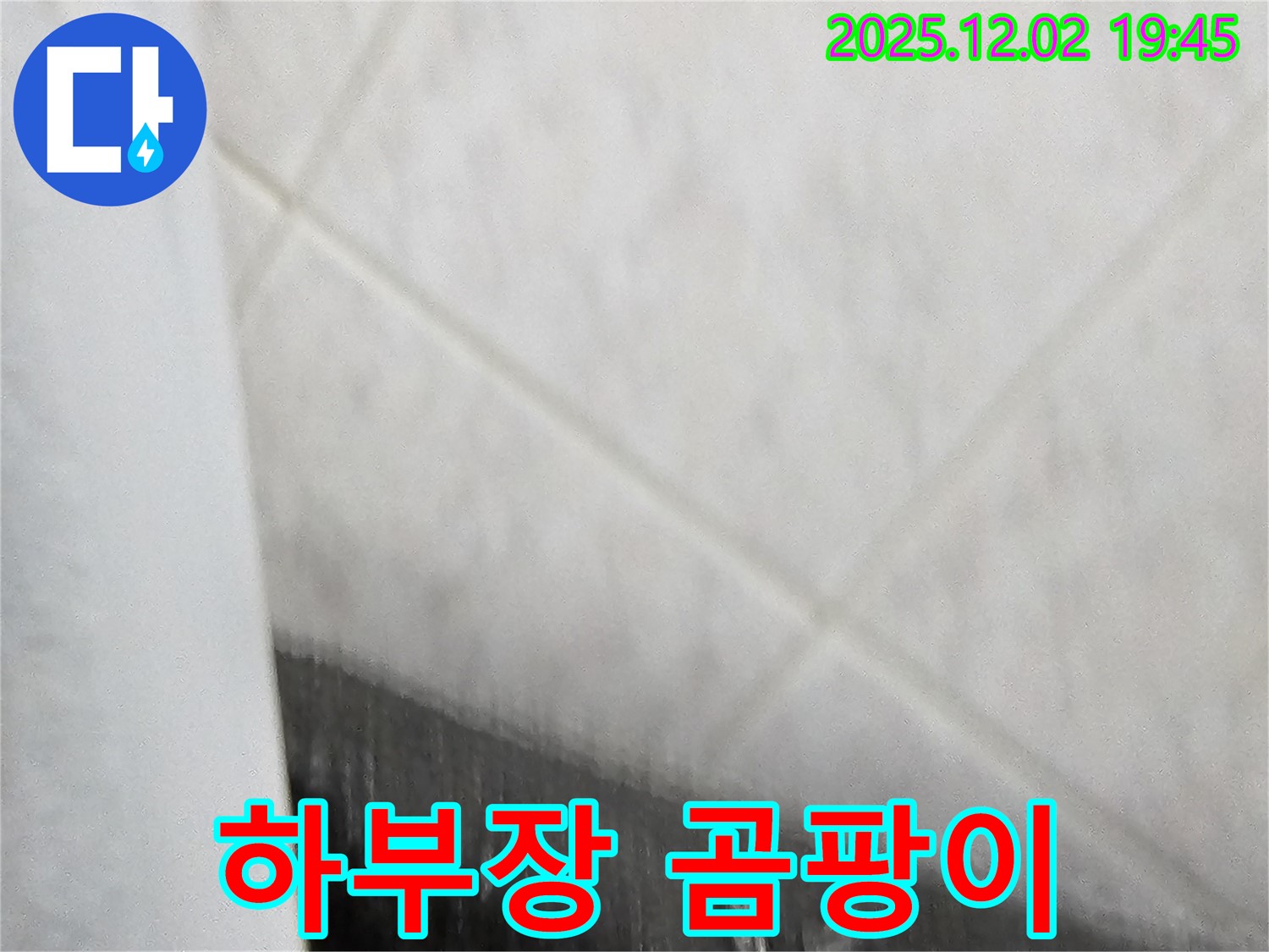 싱크대 하부장 곰팡이 - 습기와 누수를 의심하세요